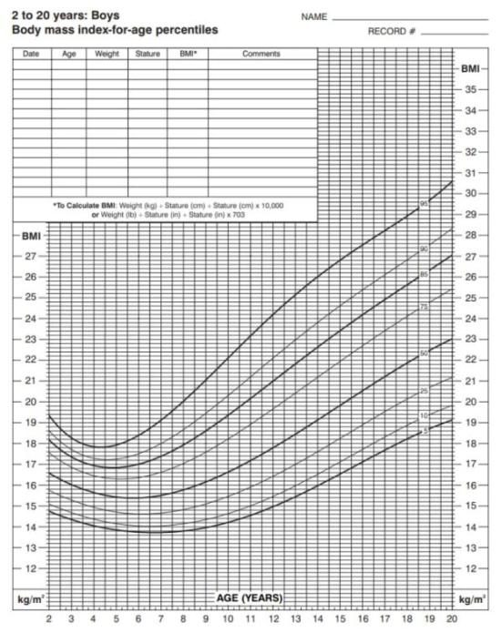 Official BMI charts for teens (boys)