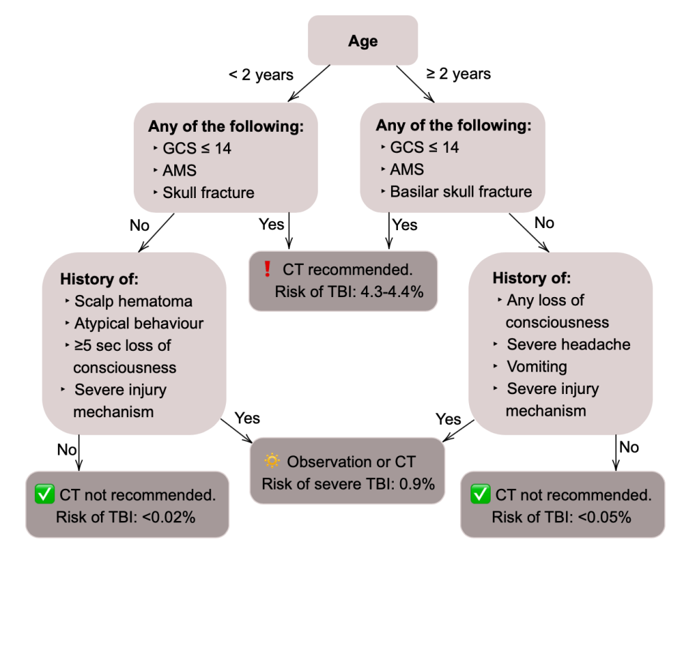 PECARN score algorithm
