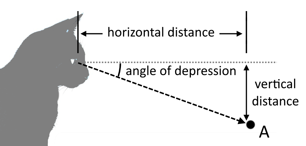 Illustration showing the horizontal distance between the viewer and an object, as well as the vertical between the object and the viewer's eyes.