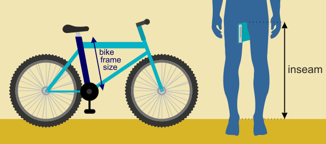 Bike size for adults.