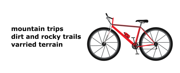 Mountain bike.