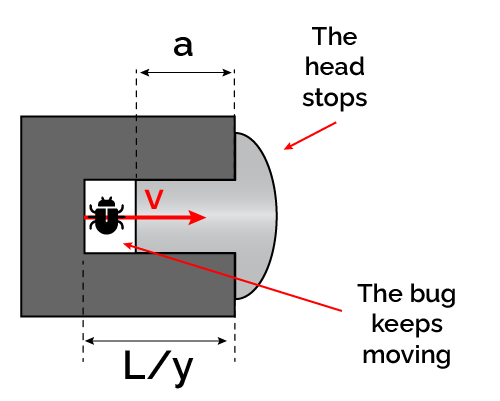 The bug keeps moving until it squishes against the bottom of the rivet.