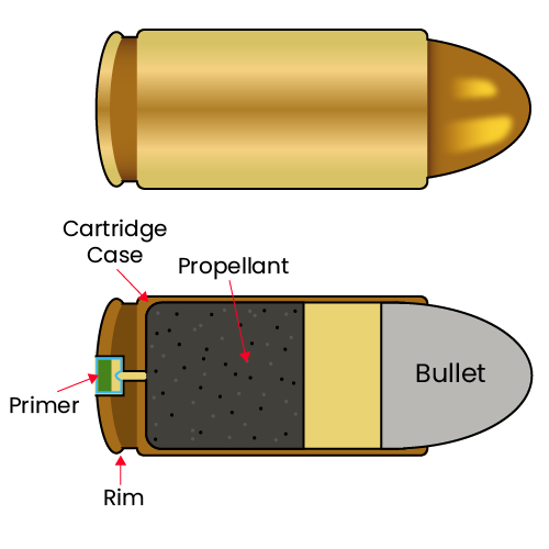 Cross section of a cartridge showing the bullet, propellant, case, rim, and primer.