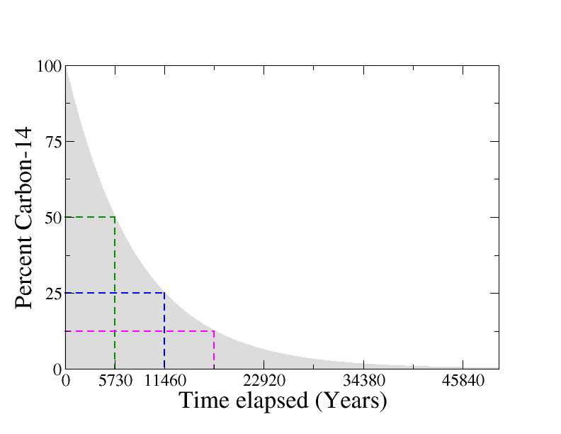 Carbon-14 decay curve