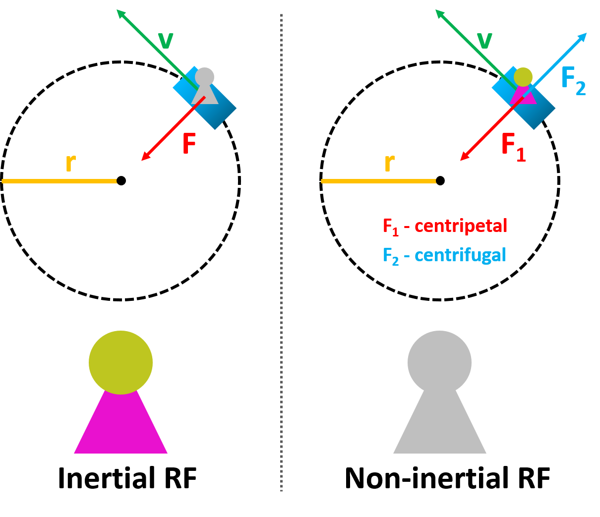 The comparison of inertial and non-inertial reference frames with centripetal and centrifugal forces diagram.