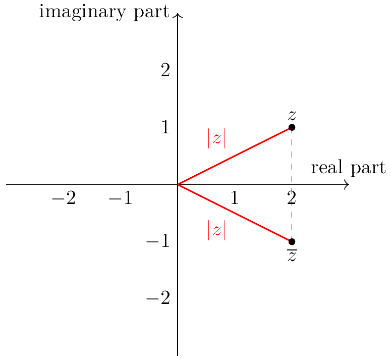 An imaginery number and its conjugate on the complex plane.