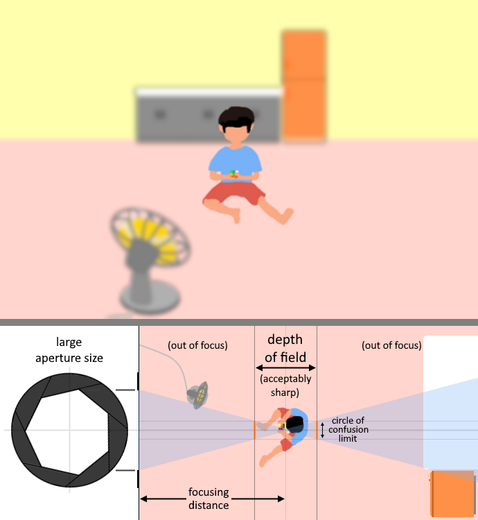 Illustration showing a shallow depth of field achieved using a large aperture opening with main subject at and average focusing distance.
