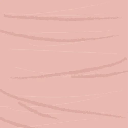 Example of eczema lichenification given the intensity score 1