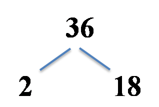 factor tree example, 36 split into 2 and 18