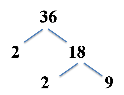 factor tree, 36 split into 2 and 18, and 18 split into 2 and 9