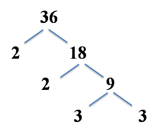 factor tree example, 36 split into 2 and 18, 18 into 2 and 9, 9 into 3 and 3