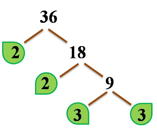 full factor tree with leaves