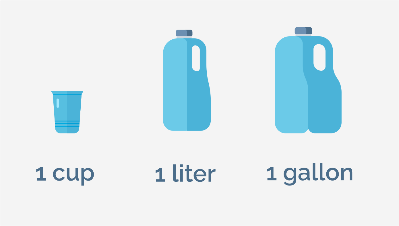 A comparison of 1 cup, 1 liter, and 1 gallon