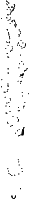 Rectangularity: shape of Maldives