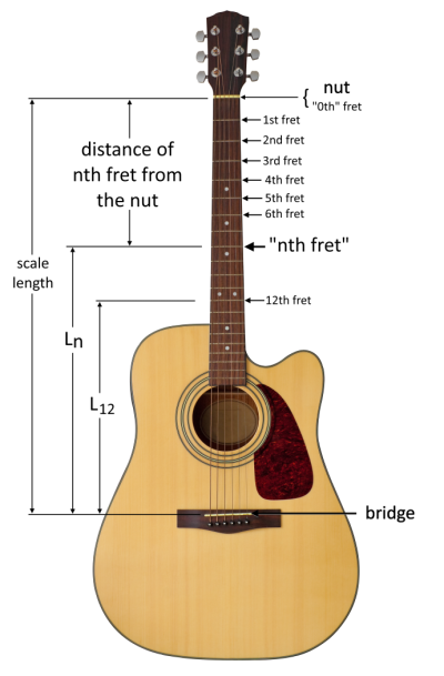 An illustration of a guitar showing scale length, the placements of frets, and the general placement of Lₙ.