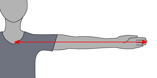 Image showing how to measure demi-span (or semi-span or half-arm span).