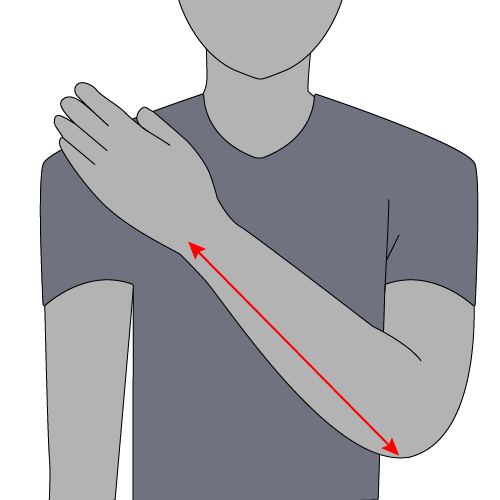 Image showing how to measure forearm length.