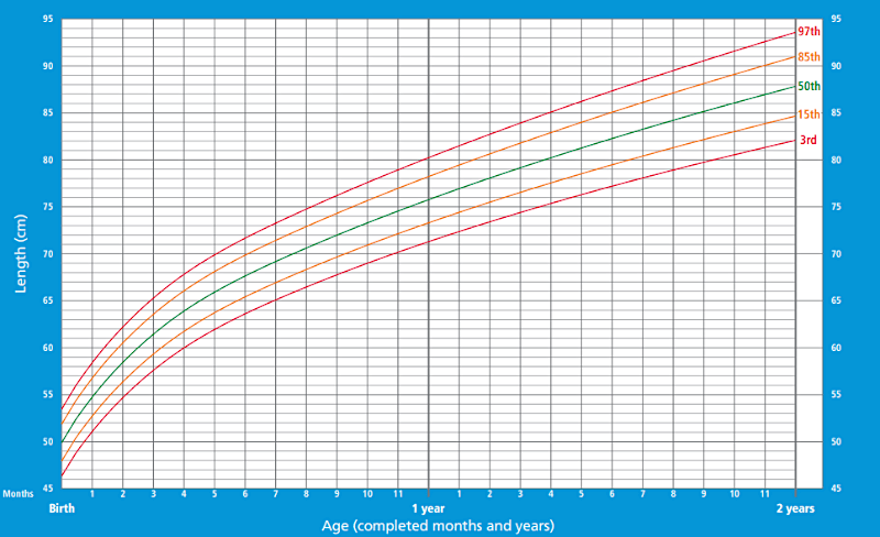 Height/length chart for boys 0-2 years old according to WHO Child Growth Standards