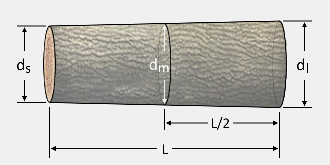 Simple illustration of a log and its dimensions.
