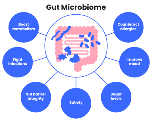Impact of the gut microbiome on health
