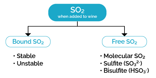 A diagram showing how SO2 behaves when added to wine.