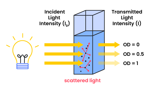 Optical density illustration with three different OD examples.