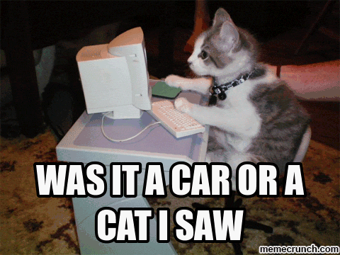 Cat writing on a keyboard.