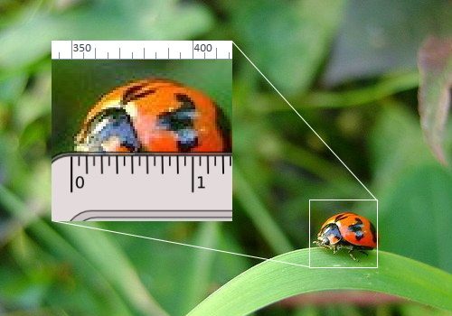 Illustration of a zoomed-in portion of a digital image to show its pixel density.