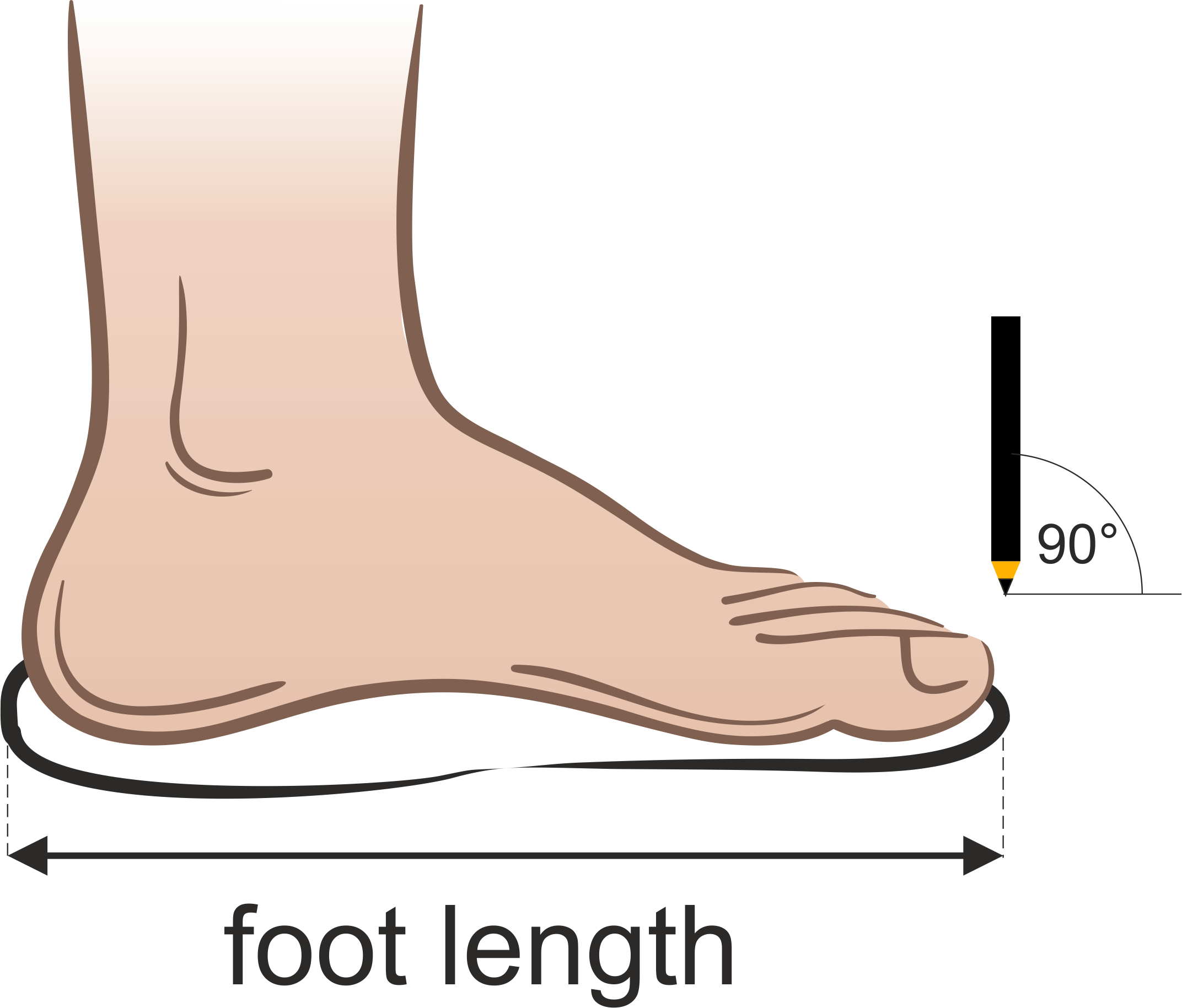 Measuring foot length.