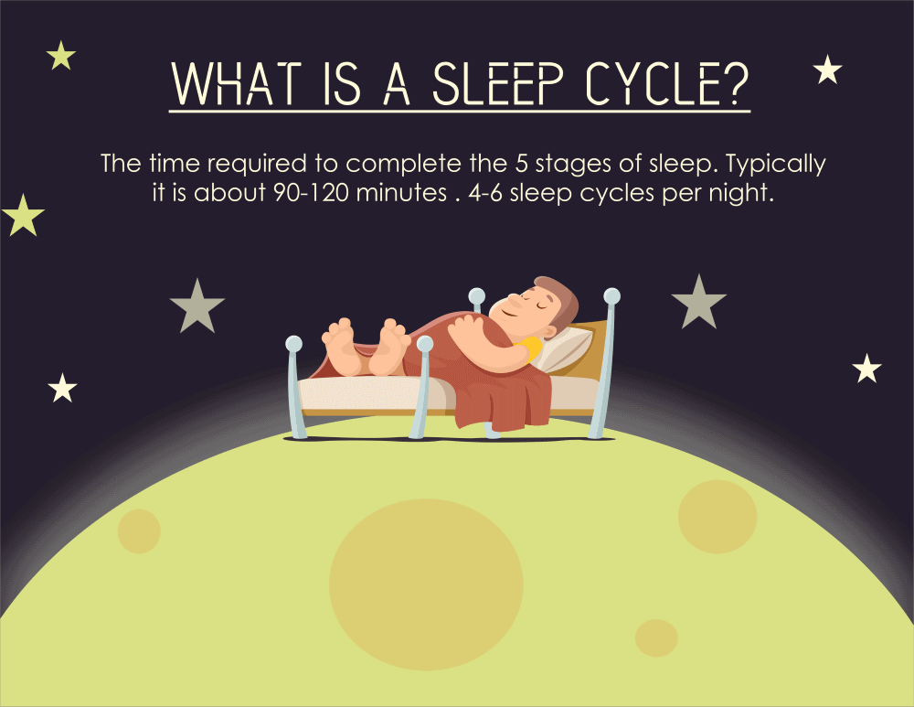 image with definition of sleep cycle