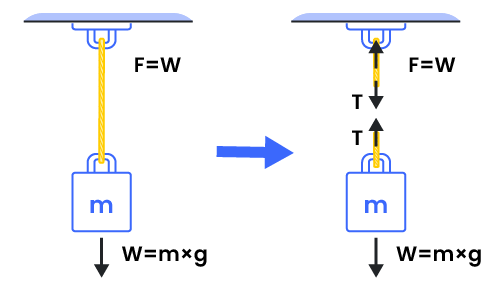 Illustration of an object being lifted using a string and its corresponding free-body diagram that shows forces acting on the system.