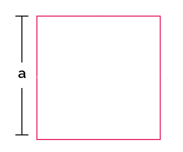 Image of a square section and its dimensions