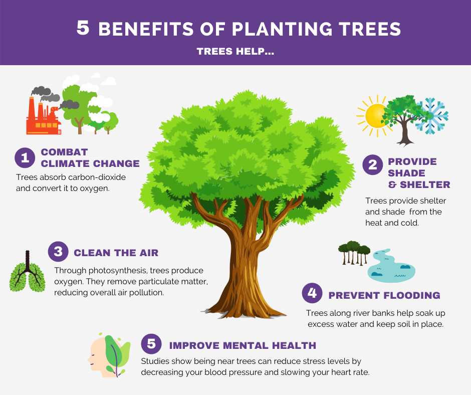 Five benefits of planting trees