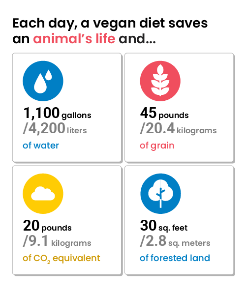 Being a vegan can save water, grain, forests land and lower CO2 emissions.